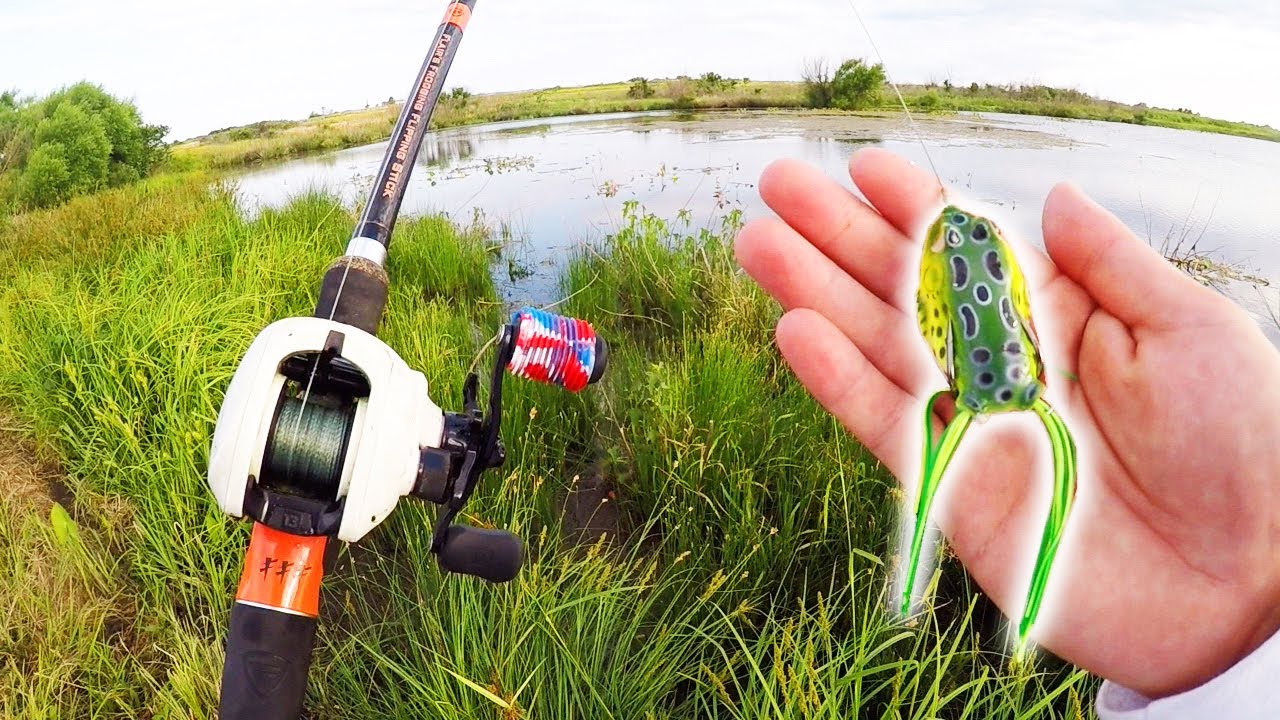 How To CATCH GIANT LARGEMOUTH BASS In GRASSY PONDS! (Best Baits) YouTube