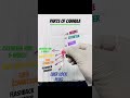 Parts of cannula name #anesthesiatechnician #cannulation #cannula