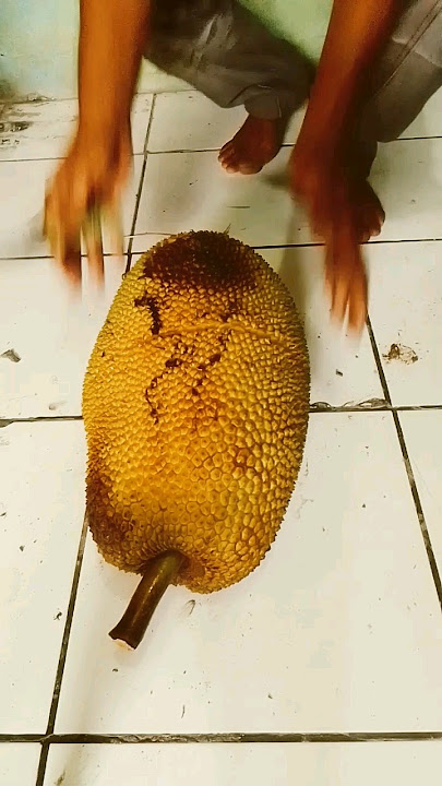 Here's how to peel jackfruit #shorts