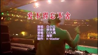 白小白 《爱不得忘不舍 （DJ大禹版）》 KTV 导唱字幕 （备有伴奏视频）