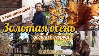 картинка: ОСЕННИЕ ХЛОПОТЫ В ЧАСТНОМ ДОМЕ