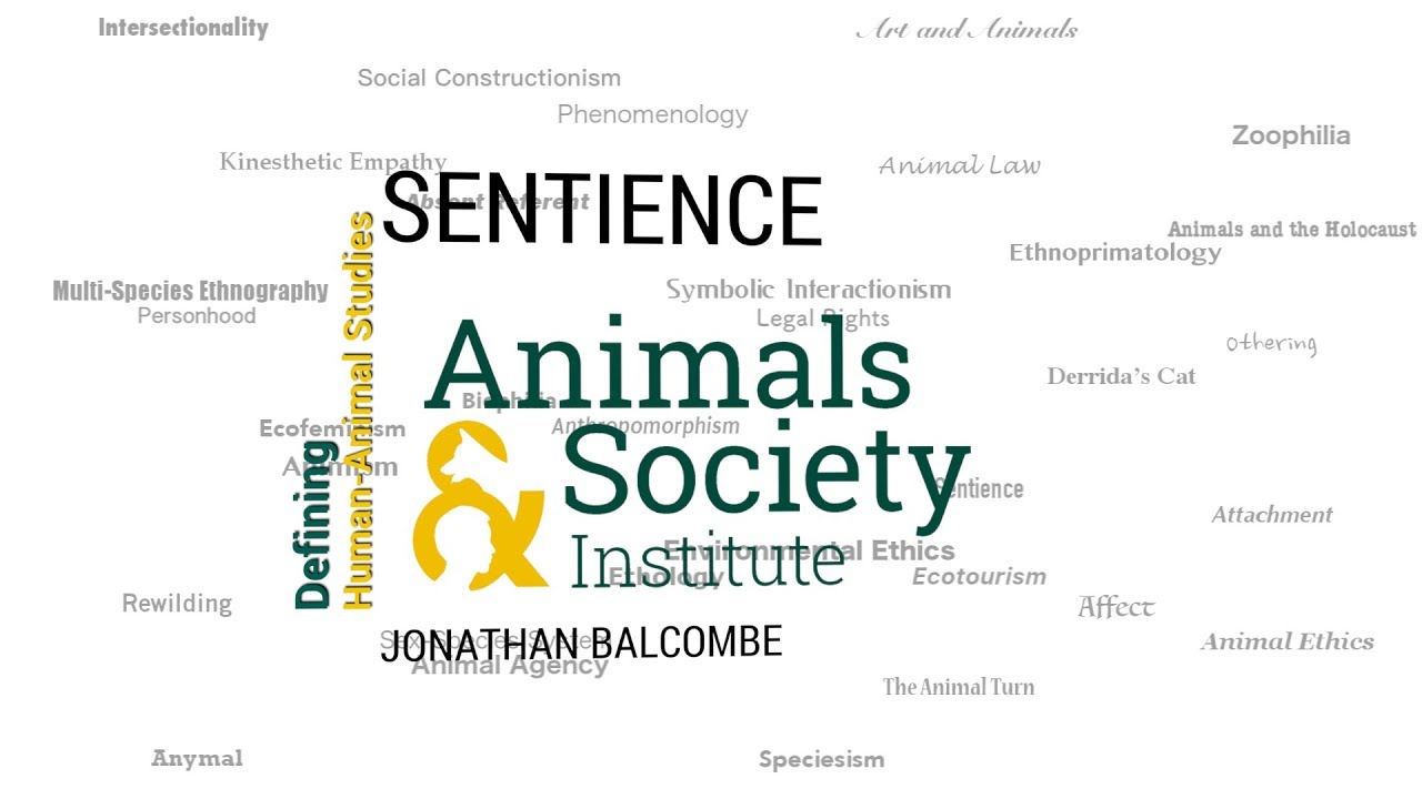 Defining Sentience with Jonathan Balcombe - ASI's Defining Human-Animal Studies 22