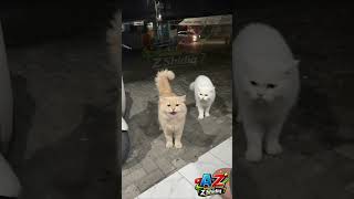 NGAYAP MULU DEH #shortvideo #videoai #kucing #hiburan #kucingrumahan