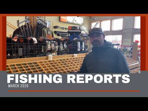 Fishing Reports- March 7th 2020
