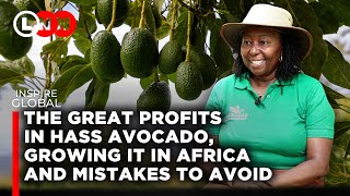 How to Grow Hass Avocado, where the market is & mistakes to avoid in order to yield maximum profit screenshot 5