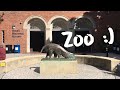 Zoo 