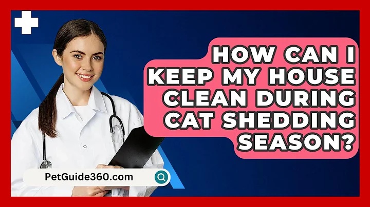 How Can I Keep My House Clean During Cat Shedding Season? - PetGuide360.com