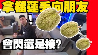 拿榴莲丢向朋友Tomato快要打死我了