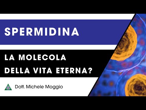 Video: La nicotinamide riboside deve essere assunta a stomaco vuoto?