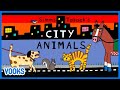 City Animals! | Animated Read Aloud Kids Book | Vooks Narrated Storybooks