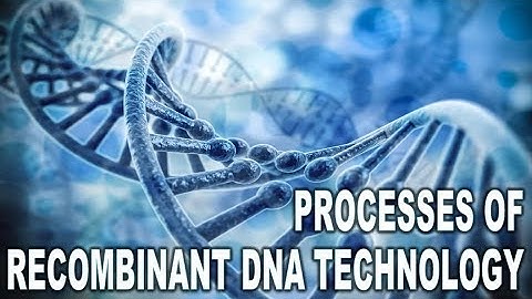 11 Biotechnology principles n processes - Part 4 Processes of recombinant DNA technology