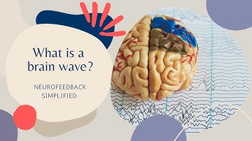 Neurofeedback | What is a brain wave?