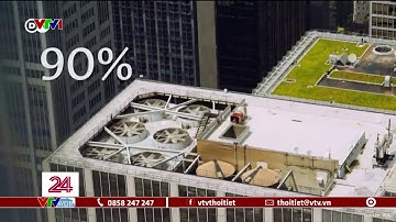 90% dân số Mỹ dùng điều hòa, cách mát nhà không cần điều hòa ra sao? | VTVWDB