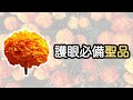 現代人與低頭族不可或缺的保養品！日本BEAUKEN的葉黃素之力！中日字幕｜日本線上免稅購物｜Tax Free Online.jp