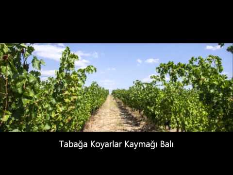 Tabağa Koyarlar Kaymağı Balı - Koro