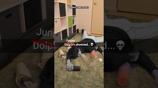 Learning To Be Buff Use Search Code A9Jph For Vip Coupon