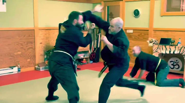 To-Shin Do Seniors Takagi Yoshin Ryu Randori