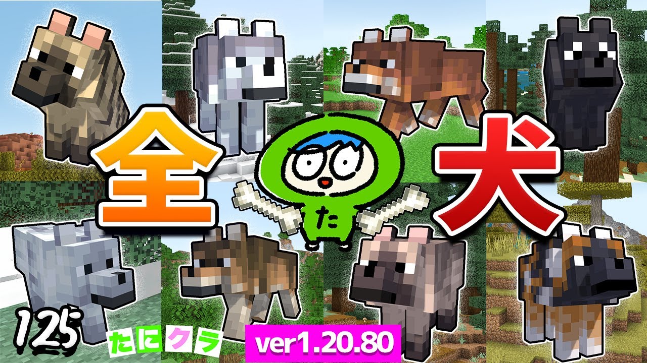 【激レア】全部のオオカミを手懐ける方法とは...！part125【たにクラ】統合版 ver1.20.80
