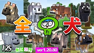 Super Rare] How to tame all the wolves! Part 125 [Tanikura