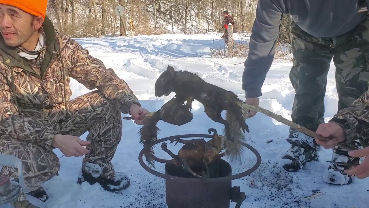 Hmong MN winter squirrel hunting 2020 YouTube