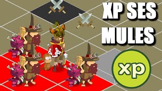 [DOFUS RETRO] XP SES MULES  : LES ERREURS A ÉVITER  ! #97