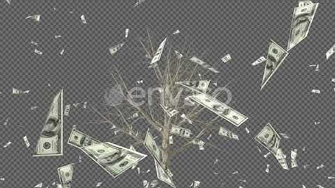 The Blowing Money | Motion Graphics - Envato elements