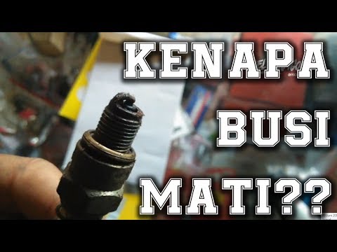 PENYEBAB MOTOR 2 TAK KEHABISAN OLI MESIN ====================================================== mesi. 