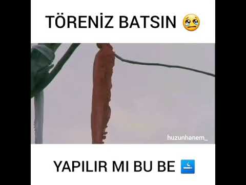 Dünyanın en saçma geleneği  (TÖRENİZ BATSIN)