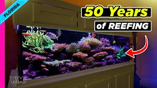 50 YEARS of Reefing Experience! Inside an EPIC 180-Gallon Acropora Reef Tank