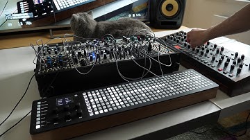 Polyend Seq and Poly sequencing a Eurorack system and Prophet 6