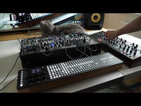 Polyend Seq and Poly sequencing a Eurorack system and Prophet 6