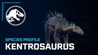 Species Profile - Kentrosaurus