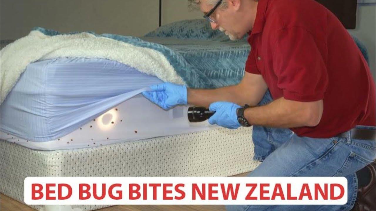 Pest Control Auckland Bed Bugs Bed Bug Exterminator Auckland New