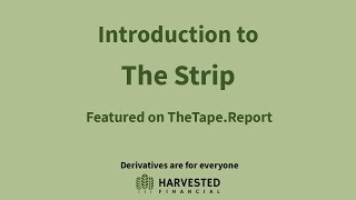 Introduction to The Strip