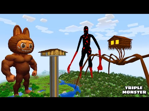SURVIVING FROM SHIN LABUBU, HOUSE HEAD, AND RED DOT GIANT in Minecraft - Gameplay - Coffin Meme