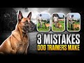 3 MISTAKES Dog Trainers Make and How to AVOID Them: #1 Stay to Recall - Dog Training Videos 3 MISTAKES Dog Trainers Make and How to AVOID Them: #1 Stay to Recall - Dog Training Videos