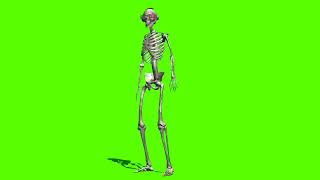 Green Screen Kankal, Human Body, Human Body Bone, Green Screen Effect, Green Screen Shot,