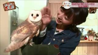 しあわせをよぶフクロウカフェ Country Owlが「マエオカテツヤの日々良好」で紹介されました。
