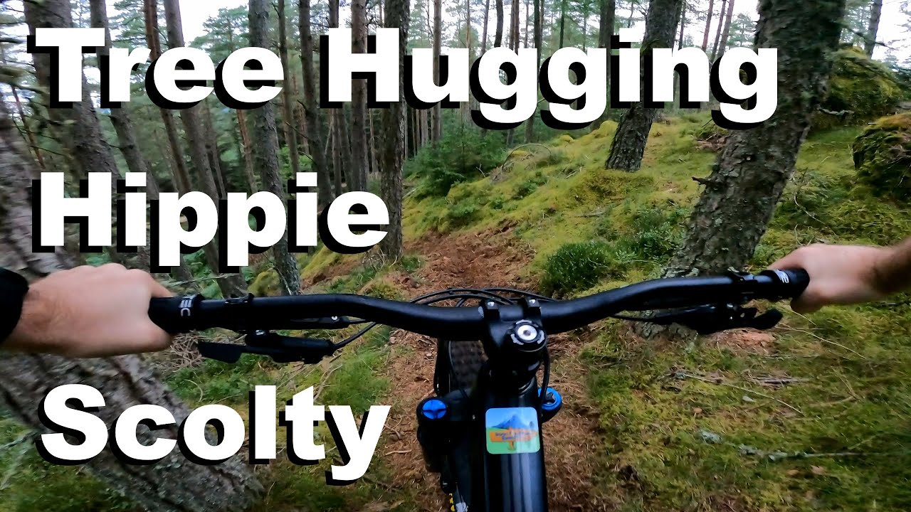 Tree Hugging Hippie - Scolty 2023