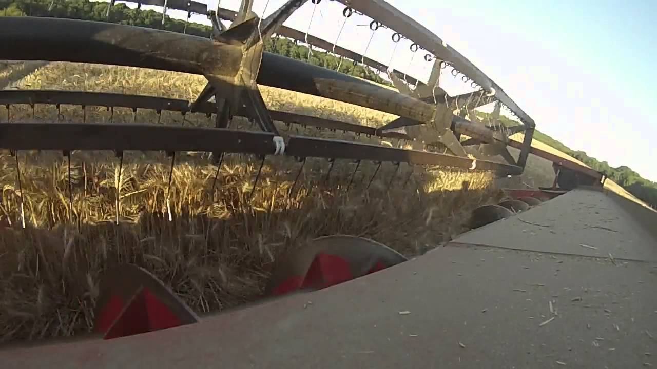 moisson ble 2015 - YouTube