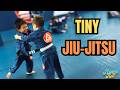Teaching Brazilian Jiu-Jitsu to 3–5 Year Olds… Chaos or Genius?