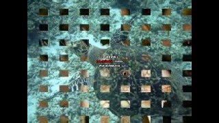 Voyage en Guadeloupe