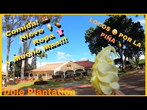 Vídeo: Guia para visitar a Dole Plantation em Oahu