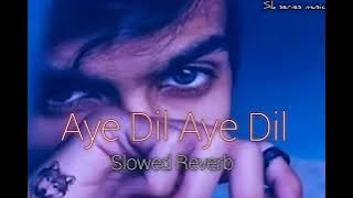 Aye Dil Aye Dil Slowed & Reverb Lofi#latest New Song#Sk Series Music