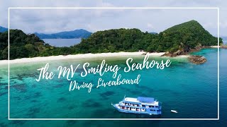 The Smiling Seahorse Liveaboard Boat