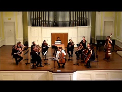 C.P.E. Bach | Cello concerto Wq 172 in A Major | Alessio Pianelli, cello