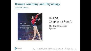 Anatomy and Physiology Chapter 18 Part A