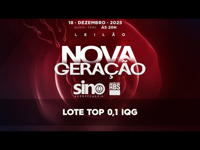 LOTE TOP 0,1 IQG   SINO 4617 4626 4648