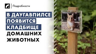 В Даугавпилсе появится кладбище домашних животных | «Подробности» на ЛР4