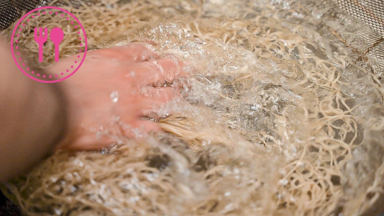 Лапша Соба с яичным заводом в Шибуе, ЯПОНИЯ